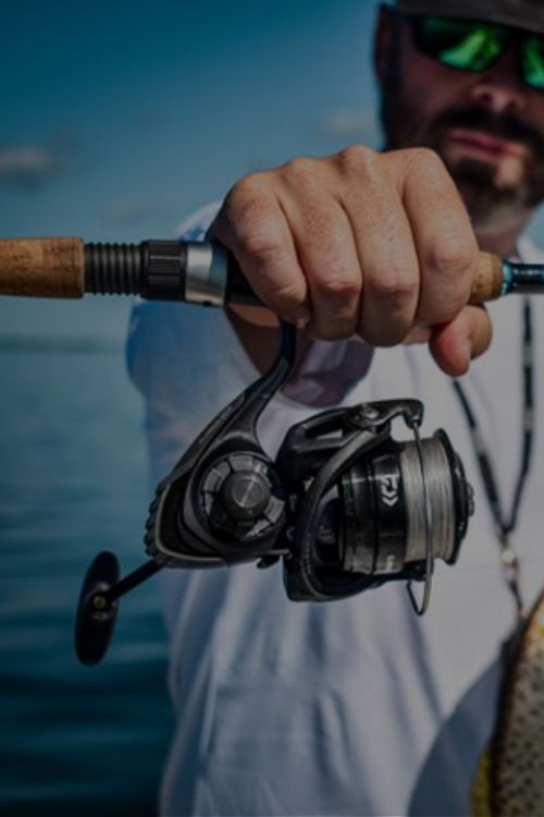 Discount Tackle Fishing Reels