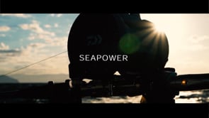 Daiwa Seapower 800 Electric Assist Conventional Reel