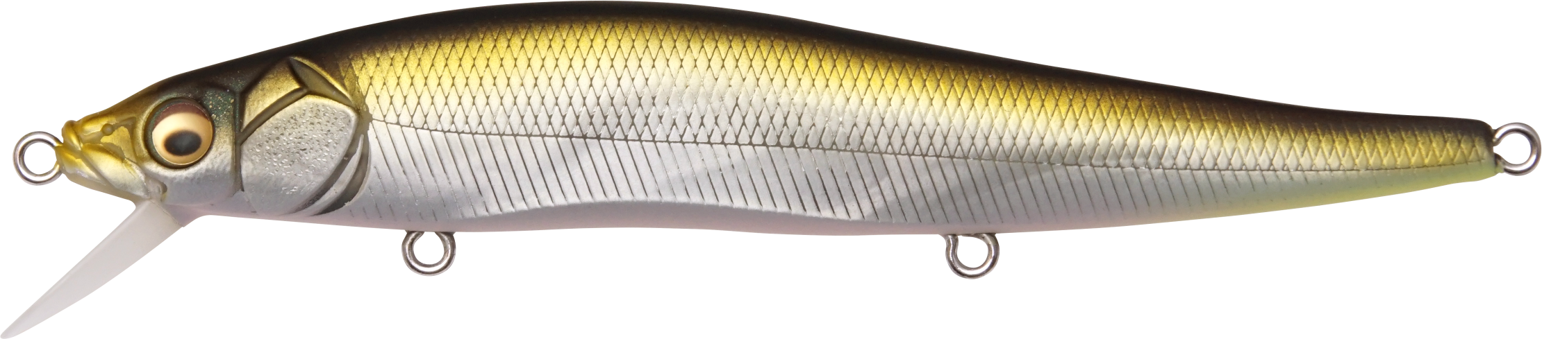 Matte Tennessee Shad