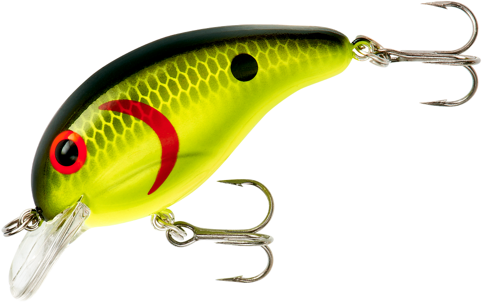 Chartreuse Black Scales