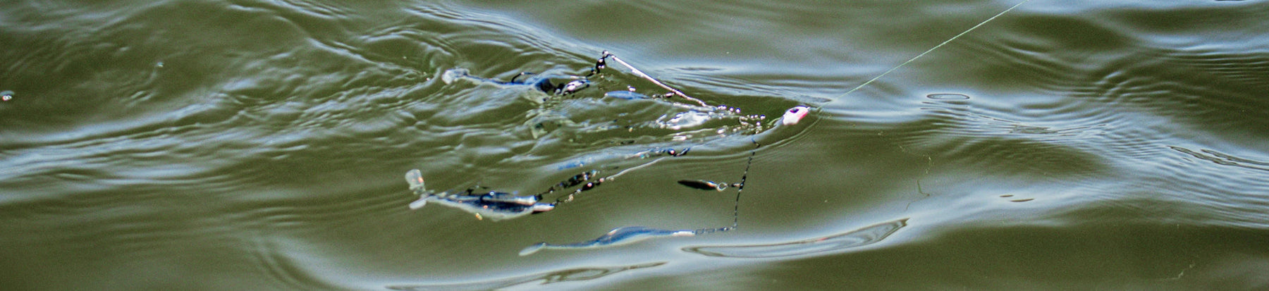 Fishing the Umbrella Rig: A Beginner’s Guide to Cold Water Bass