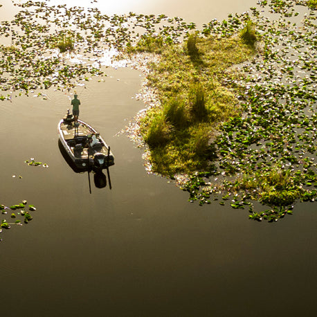 Boat on a lake or pond covered in surface foliage on a dusky evening
