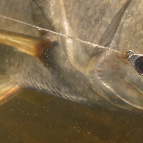 Cold Weather, Hot Bite: Your Guide to December Saltwater Fishing