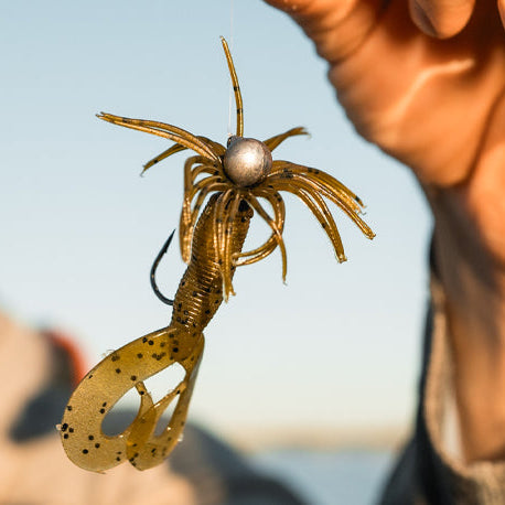 The Soft Plastic Grub: A Timeless Bass Catcher