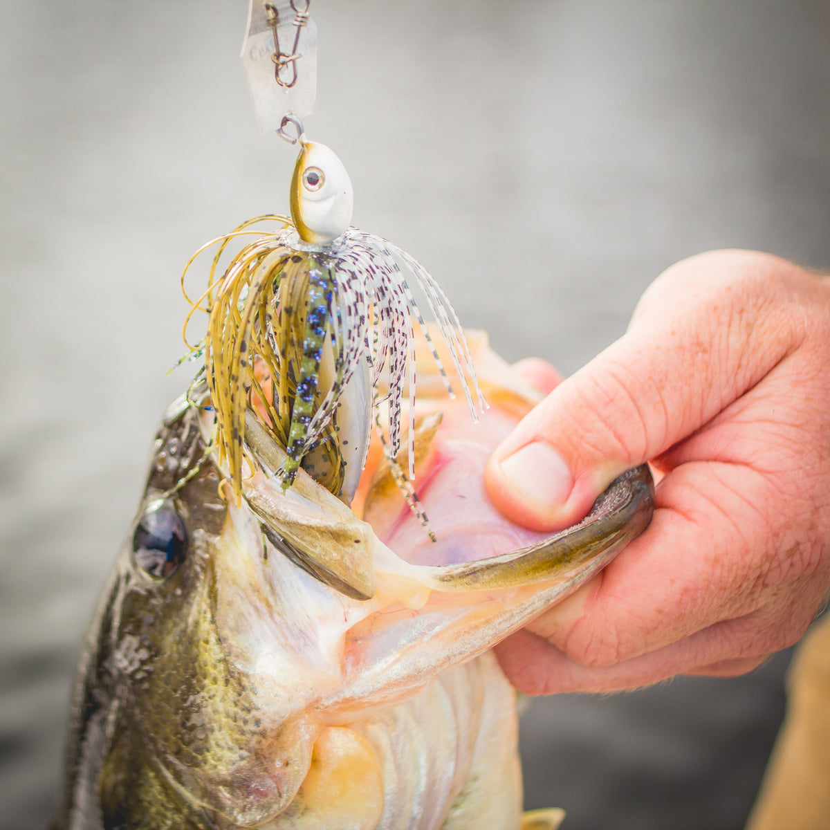 Swim Jigs vs. Bladed Swim Jigs: Which Should You Throw When? — Discount  Tackle