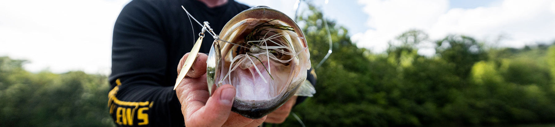 Top 5 Baits for Catching Big Bass in Ponds