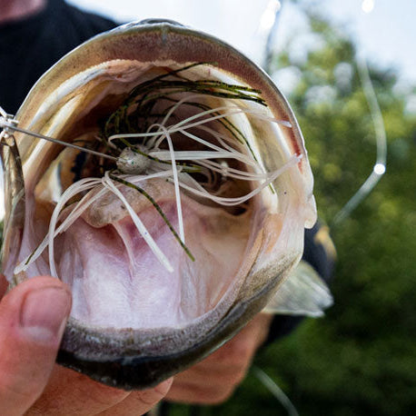 Top 5 Baits for Catching Big Bass in Ponds