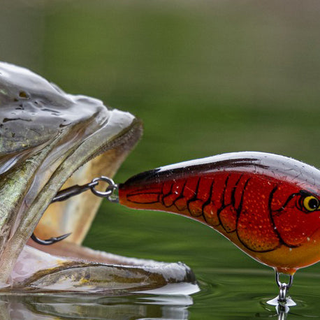 Unlocking Spring Bass Fishing Success: The Significance of Red Baits