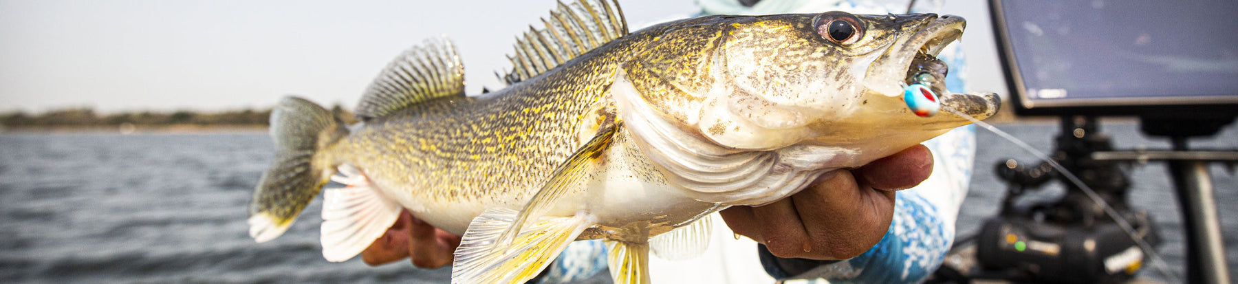 Targeting Walleye During the Spawn: A Beginner’s Guide to Spring Success