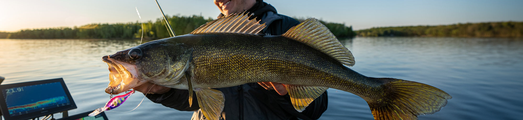 Understanding Walleye Behavior in Summer: Tips for Effective Targeting ...