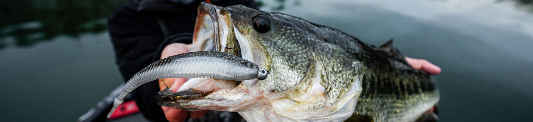 The 10 Baits That Showed Up Most in 2026 Pro Bass Top-10s