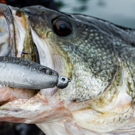 The 10 Baits That Showed Up Most in 2026 Pro Bass Top-10s