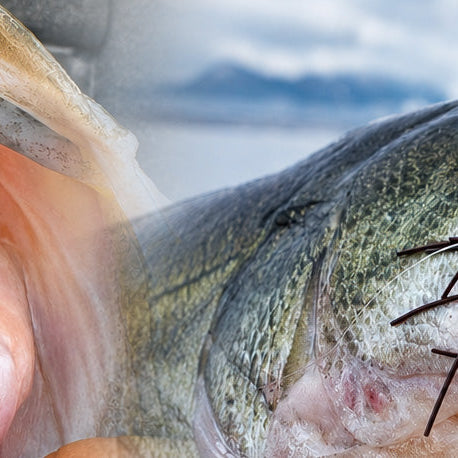 Urchin Baits vs. Fuzzy Baits: Rigging and Fishing Guide