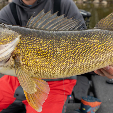 Vertical Jigging for Ice and Coldwater Walleye
