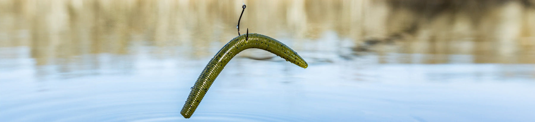 The Wacky Rig: One of the Most Effective Bass Fishing Techniques Ever