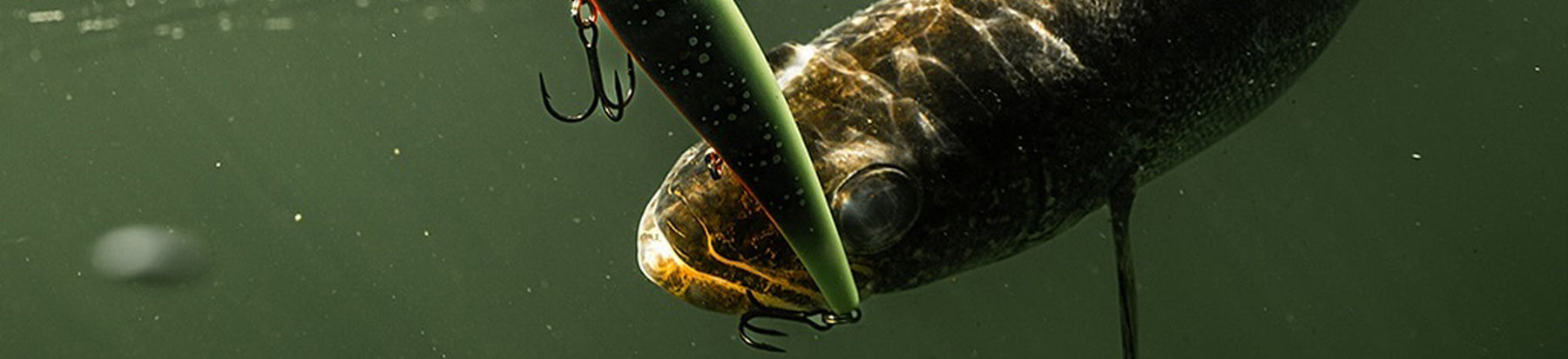 Walleye Fishing Top Sellers: 12 Must-Have Baits That Get Bit