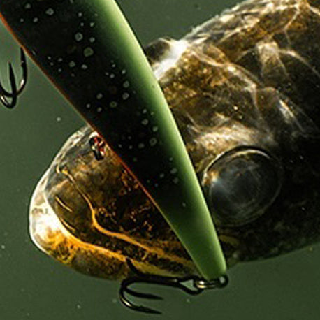 Walleye Fishing Top Sellers: 12 Must-Have Baits That Get Bit