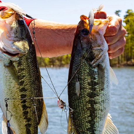 Mastering Spinnerbaits: The Ultimate Guide to Bass Fishing Success