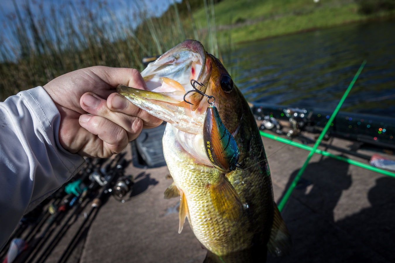Late Summer & Fall Transition Bass Lures