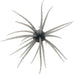 #106 Gill, .9 inch - 1 Pack