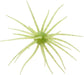 #111 Chartreuse Green Gold Flake, .9 inch - 1 Pack