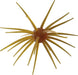 Kuririnkintoki - #263, .66 inch - 1 pack