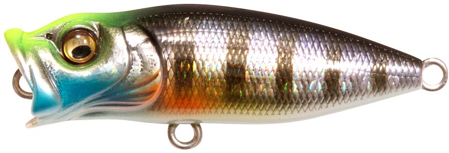 Megabass Baby PopX (BFS) — Discount Tackle