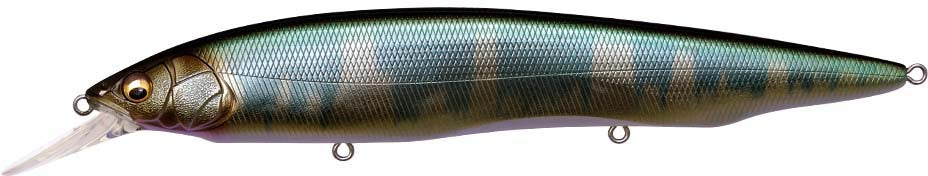 Megabass Kanata +1 Jerkbait