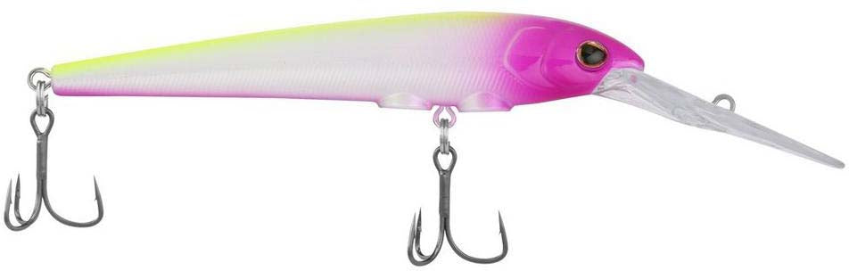 Zoom Bait Salty Super Tube Bait, Disco Candy, 3.75-Inch, Pack of 8, Soft  Plastic Lures -  Canada