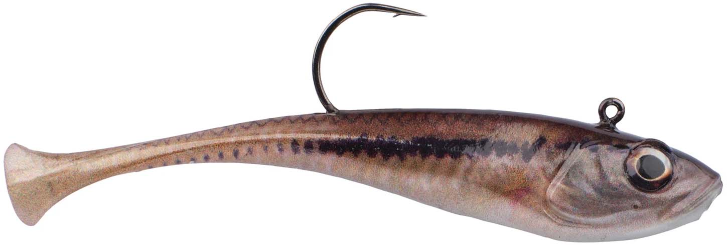 HD Blacknose Shiner / 2.5in