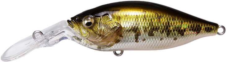 GG Megabass Kinkuro