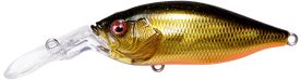 GLX Gill