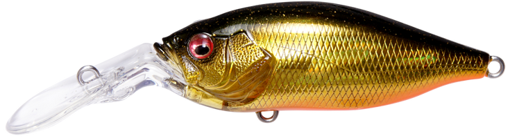 GLX Gill