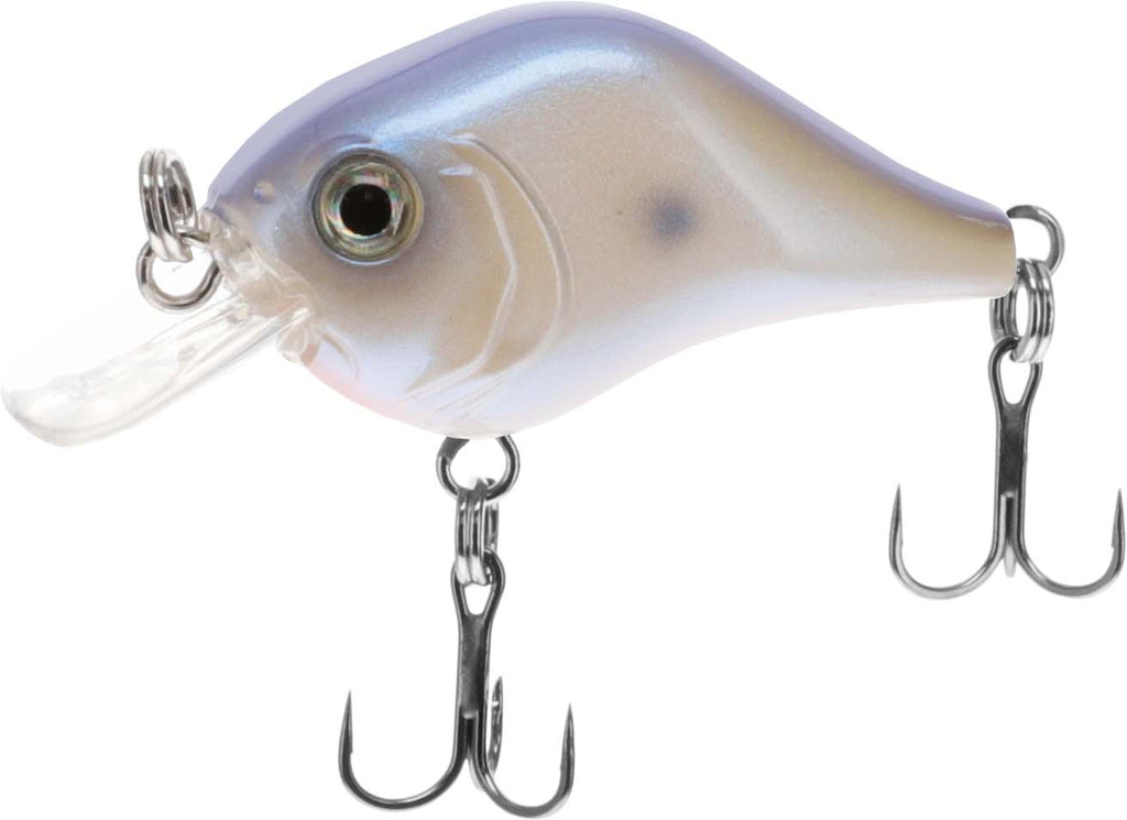 Have you seen the new Bill Lewis Gnat crankbait yet?! Going to be an  awesome lure when they are on smallbait and I even have some trout i