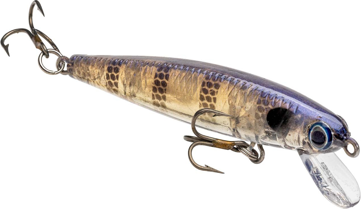 ジャークマン　ビーストロング Strike King Bitsy Jerkbait — Discount Tackle