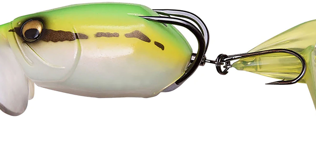 41247653757016_1200x600_crop_c