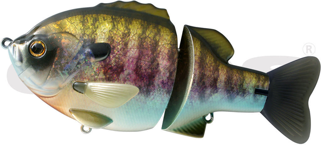 41877038563416_1024x1024.jpg?v