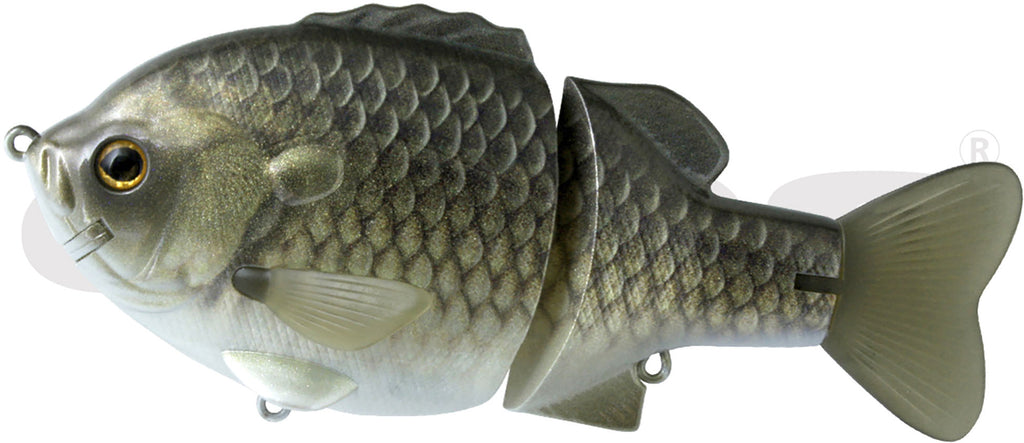 41877038596184_1024x1024.jpg?v