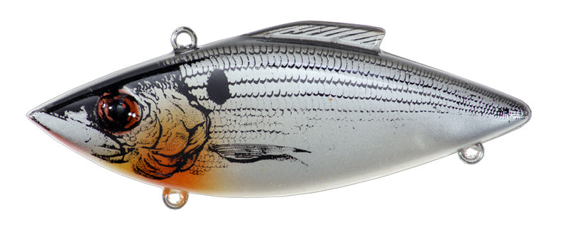 Bill Lewis Rat-L-Trap Shad Series Lipless Crankbait - 3 Inch