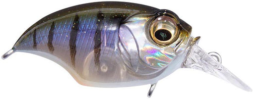 Megabass Griffon SR-X Shallow Diving Crankbait - 1.75 Inches