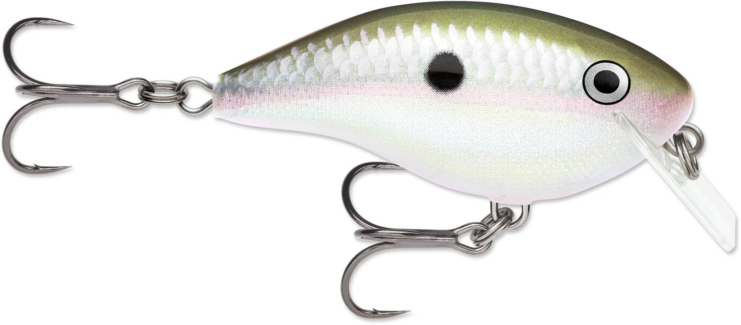 Rapala OG Big Rocco 06 Squarebill Crankbait - 2.75 Inch