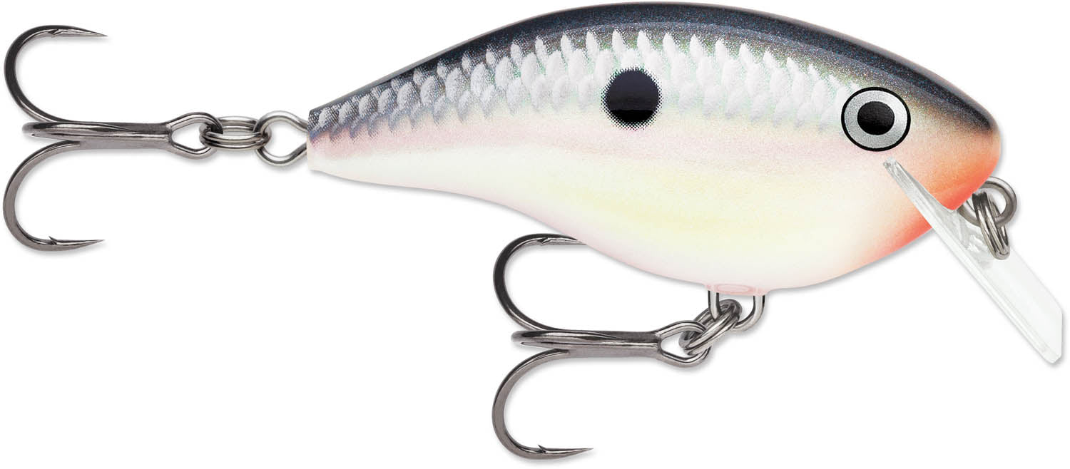 Rapala OG Big Rocco 06 Squarebill Crankbait - 2.75 Inch