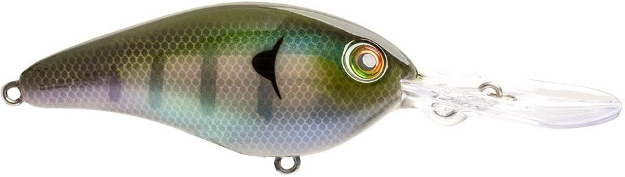 Strike King 8XD Elite Series Crankbait - 5.5 Inch