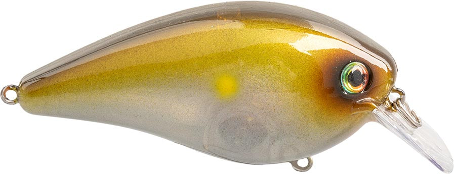Strike King pro Mark Rose shares why he loves fishing in the Strike King pro Mark Rose shares why he loves fishing in the