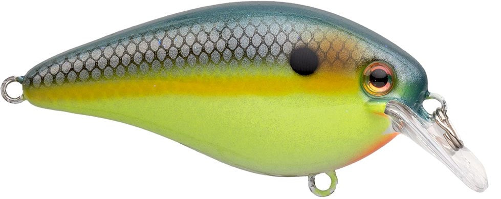 Strike King KVD Elite 4.0 Squarebill Crankbait - 4 Inch