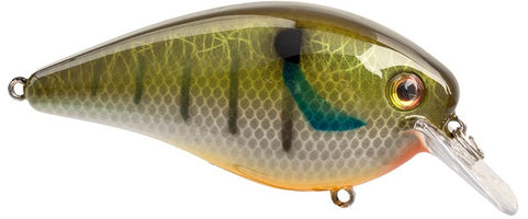 Strike King KVD Elite 4.0 Squarebill Crankbait - 4 Inch