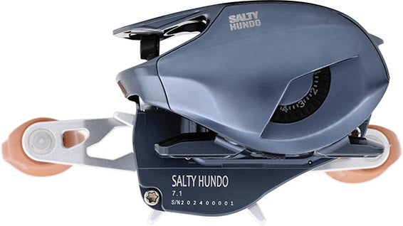best 100 dollar baitcasting reel Bates Salty Hundo 100 Baitcasting Reel - BRSHLH811GM