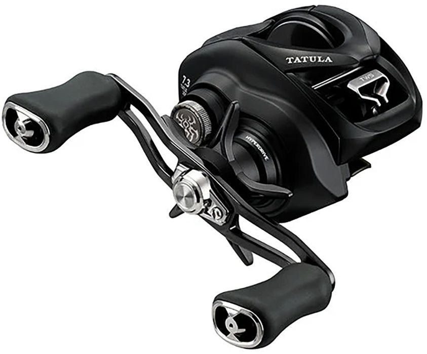 best 200 dollar baitcasting reel Daiwa CSTW200H Coastal TW free casting in all conditions KastKing Baitcasting Reel, Low Profile