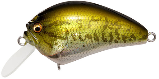 Megabass IXI Blowly Shallow Crankbait - 2 Inch - GG Bass