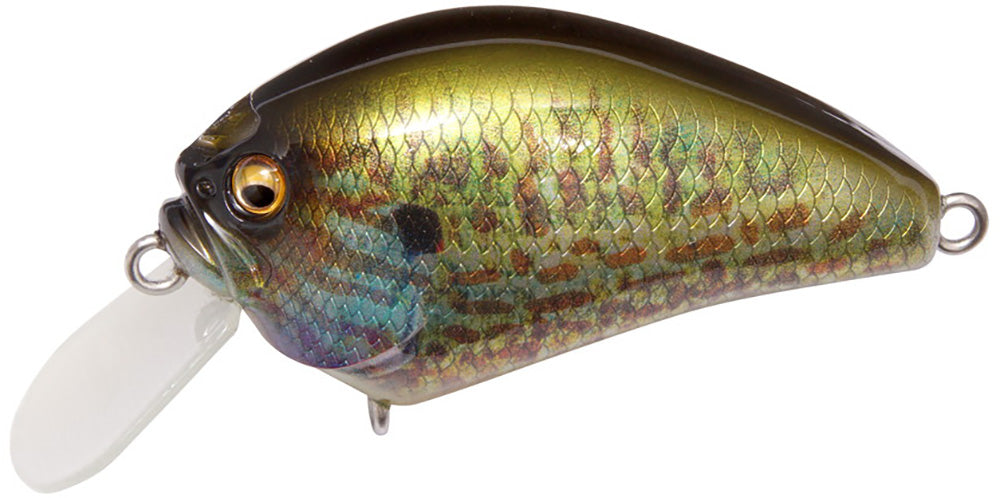 Megabass IXI Blowly Shallow Crankbait - 2 Inch